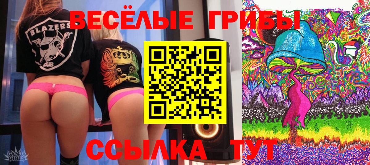 Псилоцибиновые грибы ЛСД Печора