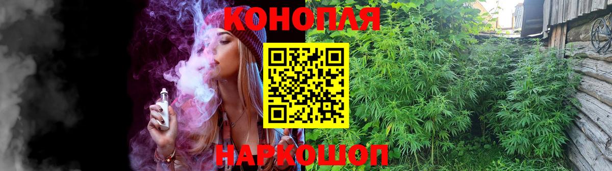 Конопля Bruce Banner Печора